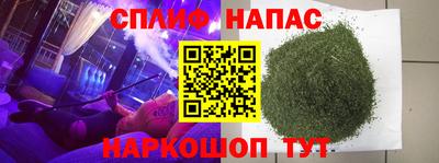 индика Бийск