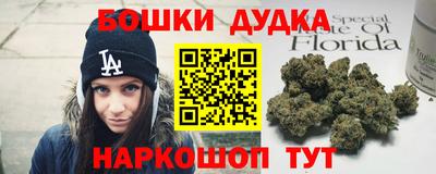 индика Бийск
