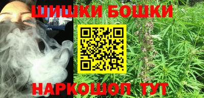индика Бийск