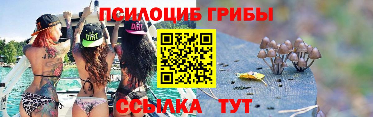 Псилоцибиновые грибы Cubensis Ивантеевка